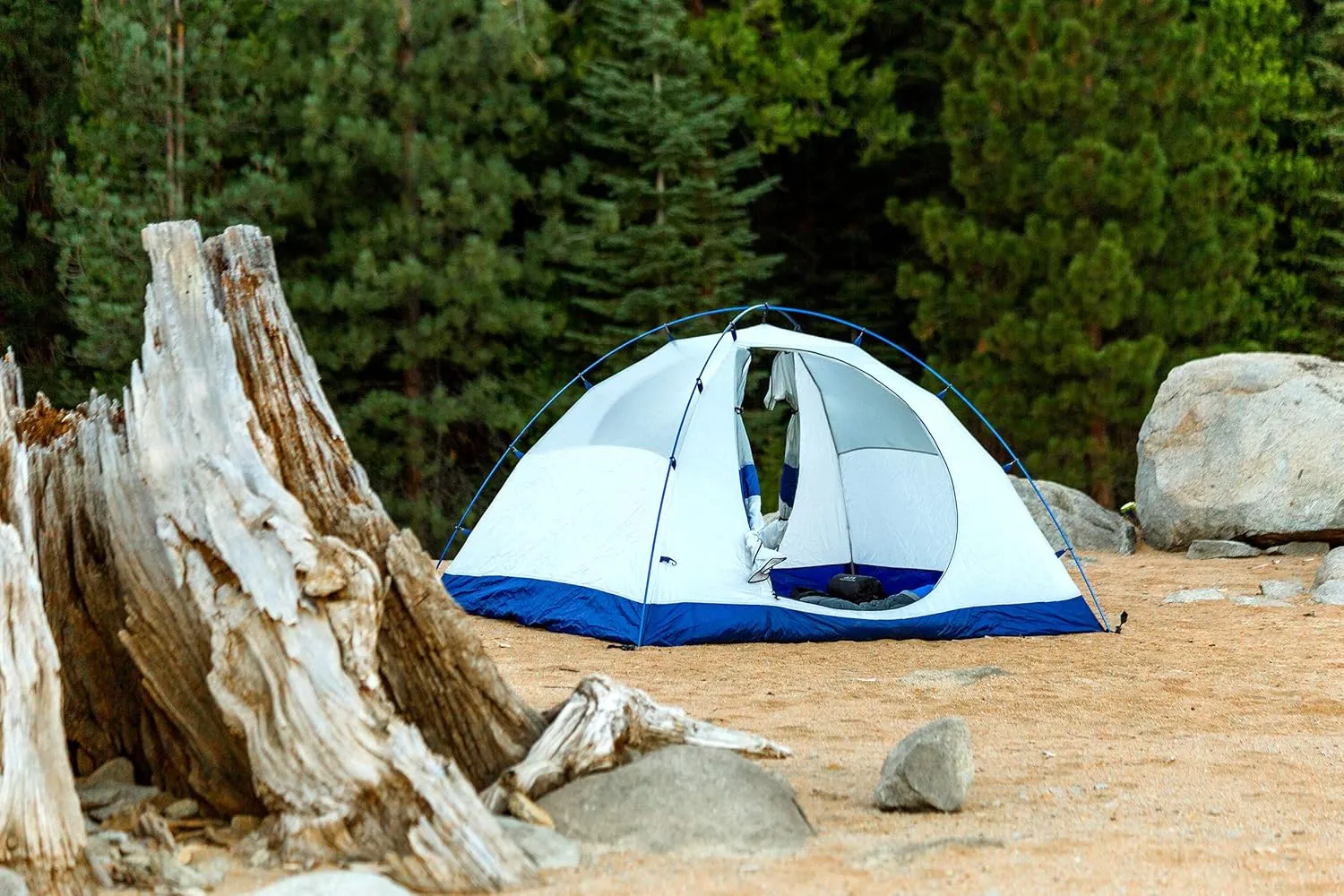 ALPS Mountaineering Backpacking-Tents Lynx 4