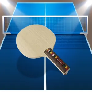 Donic Waldner All Play Table Tennis Ply