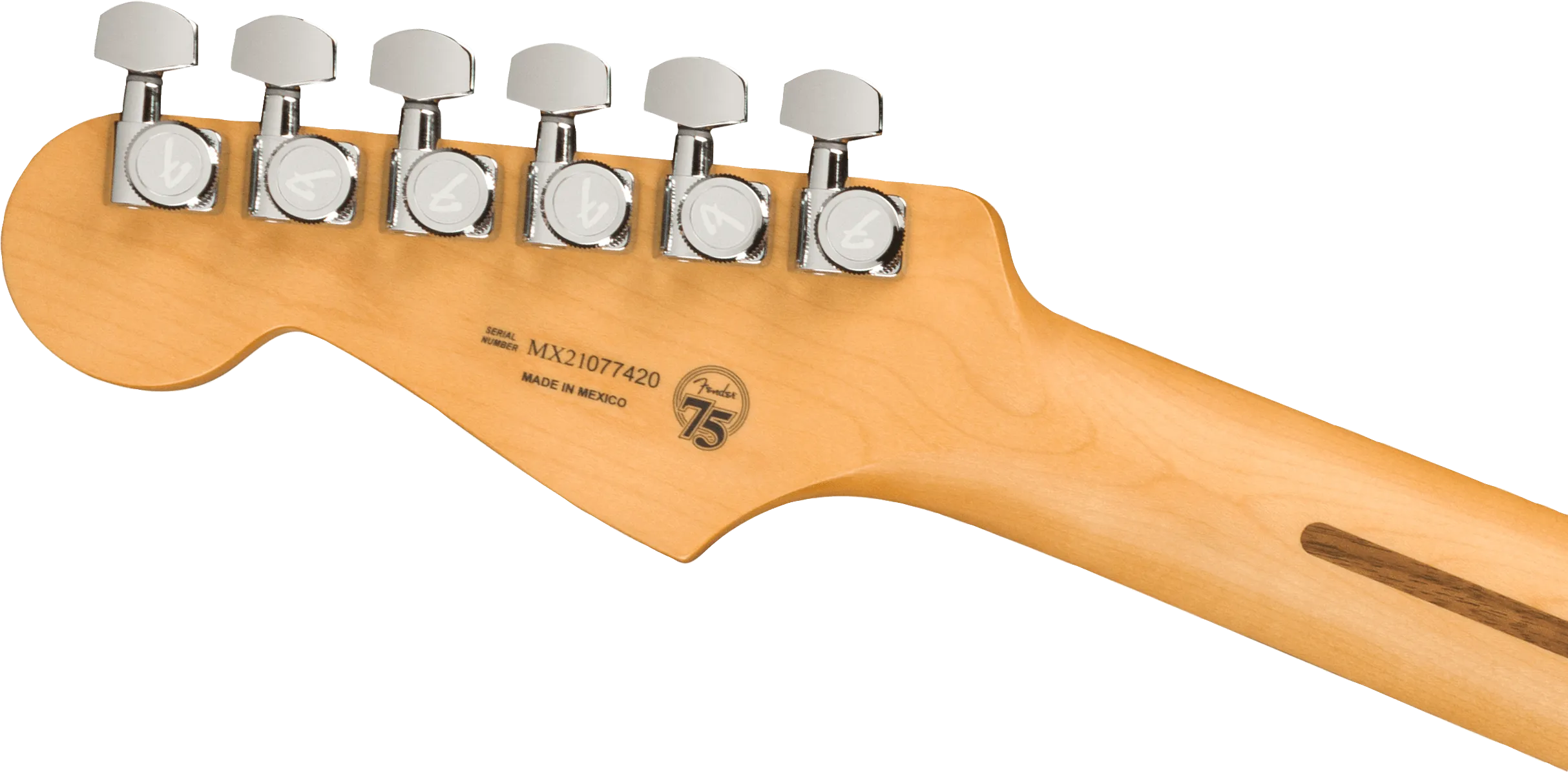 FENDER Player Plus Stratocaster® HSS Pau Ferro Fingerboard Silverburst