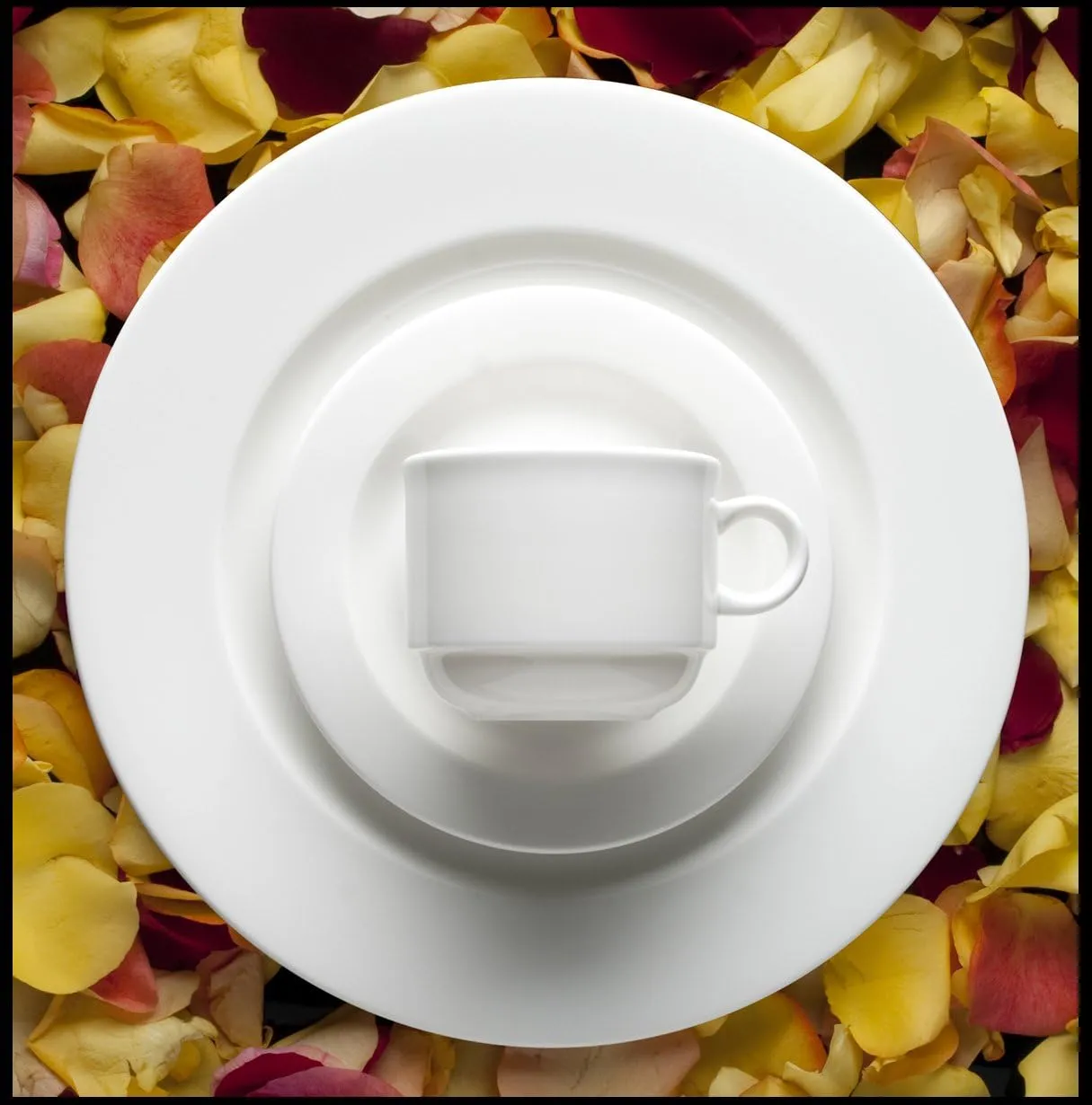 Fortessa Fortaluxe SuperWhite Vitrified China Dinnerware, Cassia 8-Ounce Stackable Coffee/Tea Cup, Set of 6