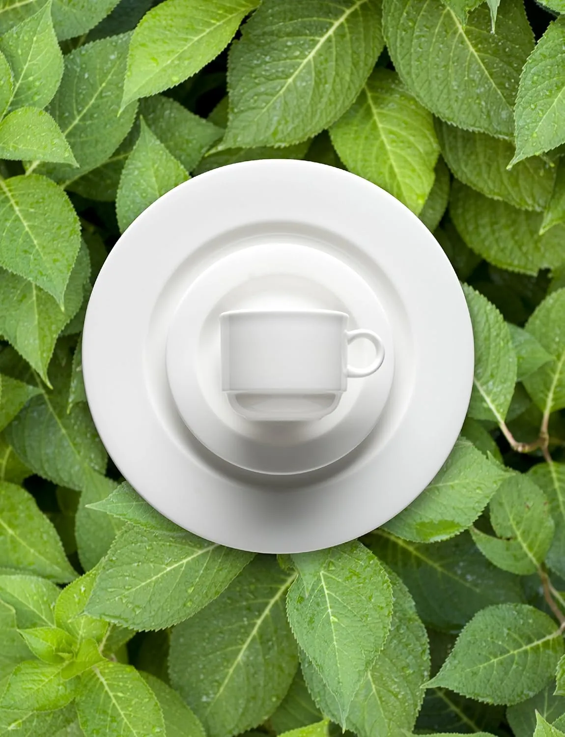 Fortessa Fortaluxe SuperWhite Vitrified China Dinnerware, Cassia 8-Ounce Stackable Coffee/Tea Cup, Set of 6
