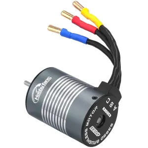 Hobby Fans Waterproof 3650 4300KV 3.175mm Shaft Brushless Motor for 1/10 RC Racing Car Off-Road Truck, Titanium