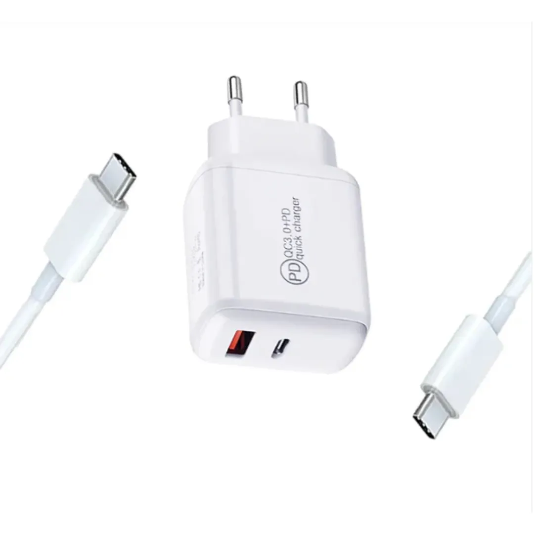 Maxon F-100 20w Charger