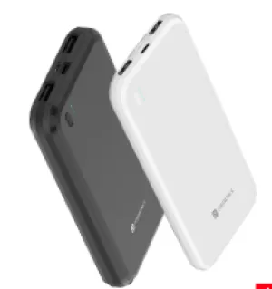 Portronics (Power Bank) Power Bricks 10