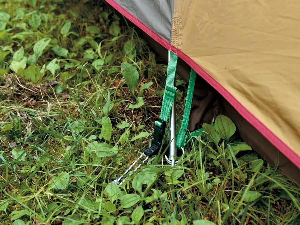 Snow Peak Tents snow peak Amenity Dome Tent