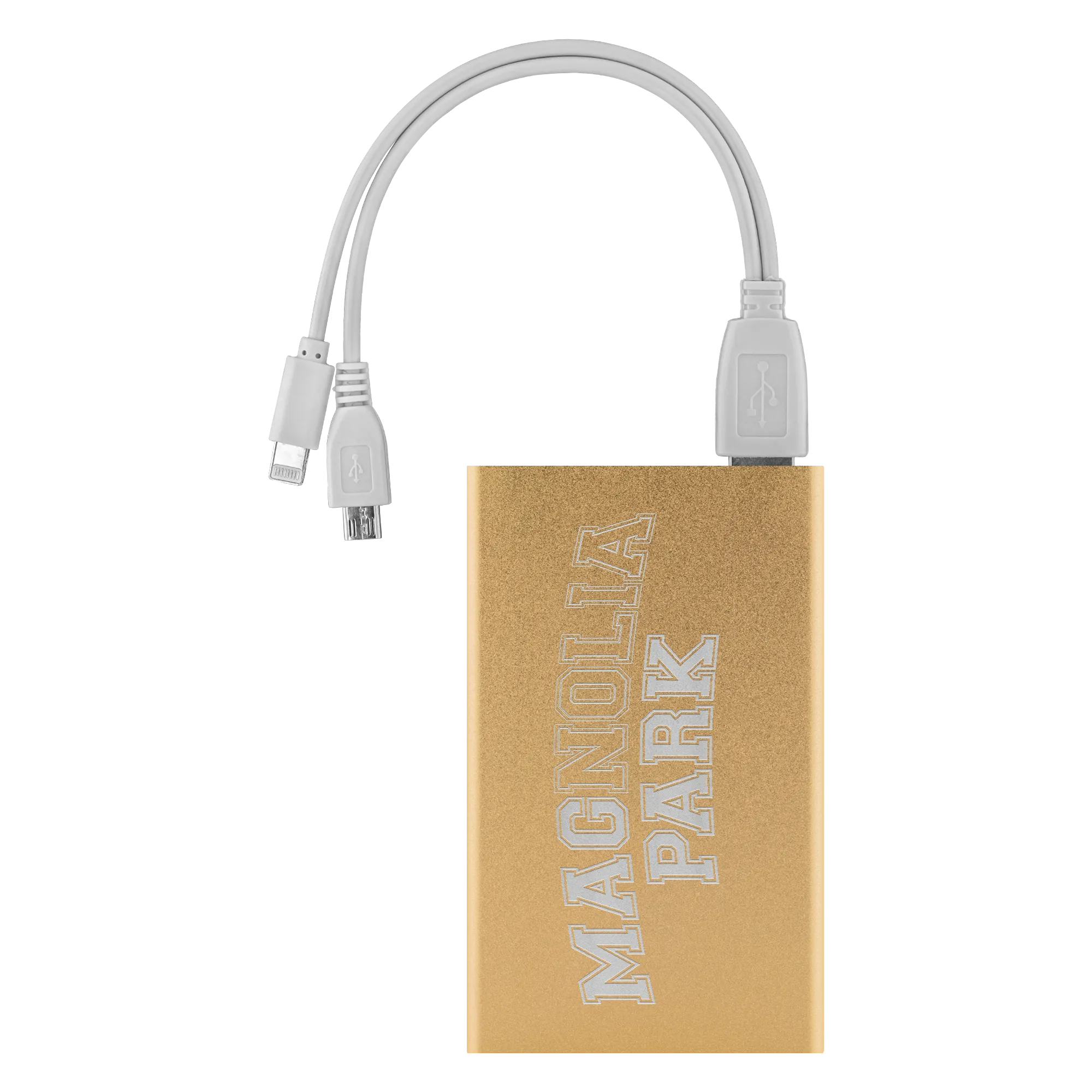 THE MAGNOLIA PARK - VARSITY POWER BANK