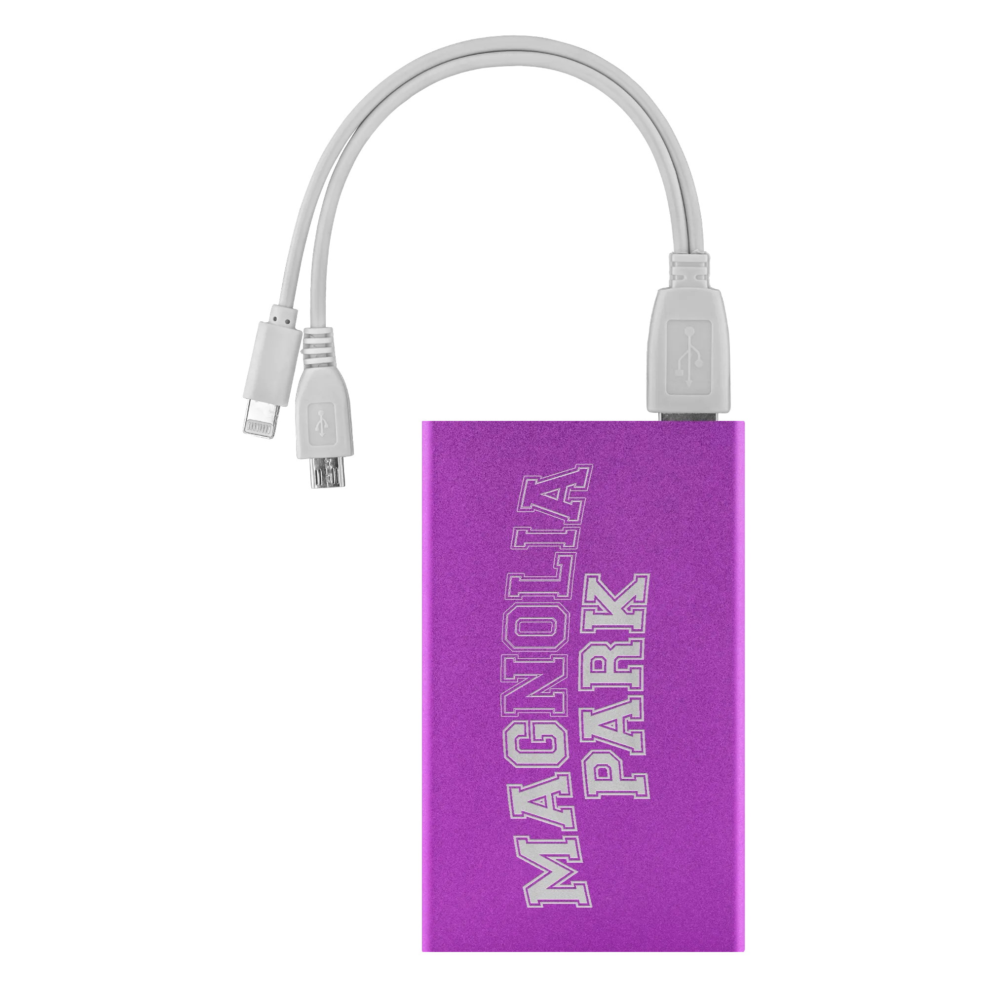 THE MAGNOLIA PARK - VARSITY POWER BANK