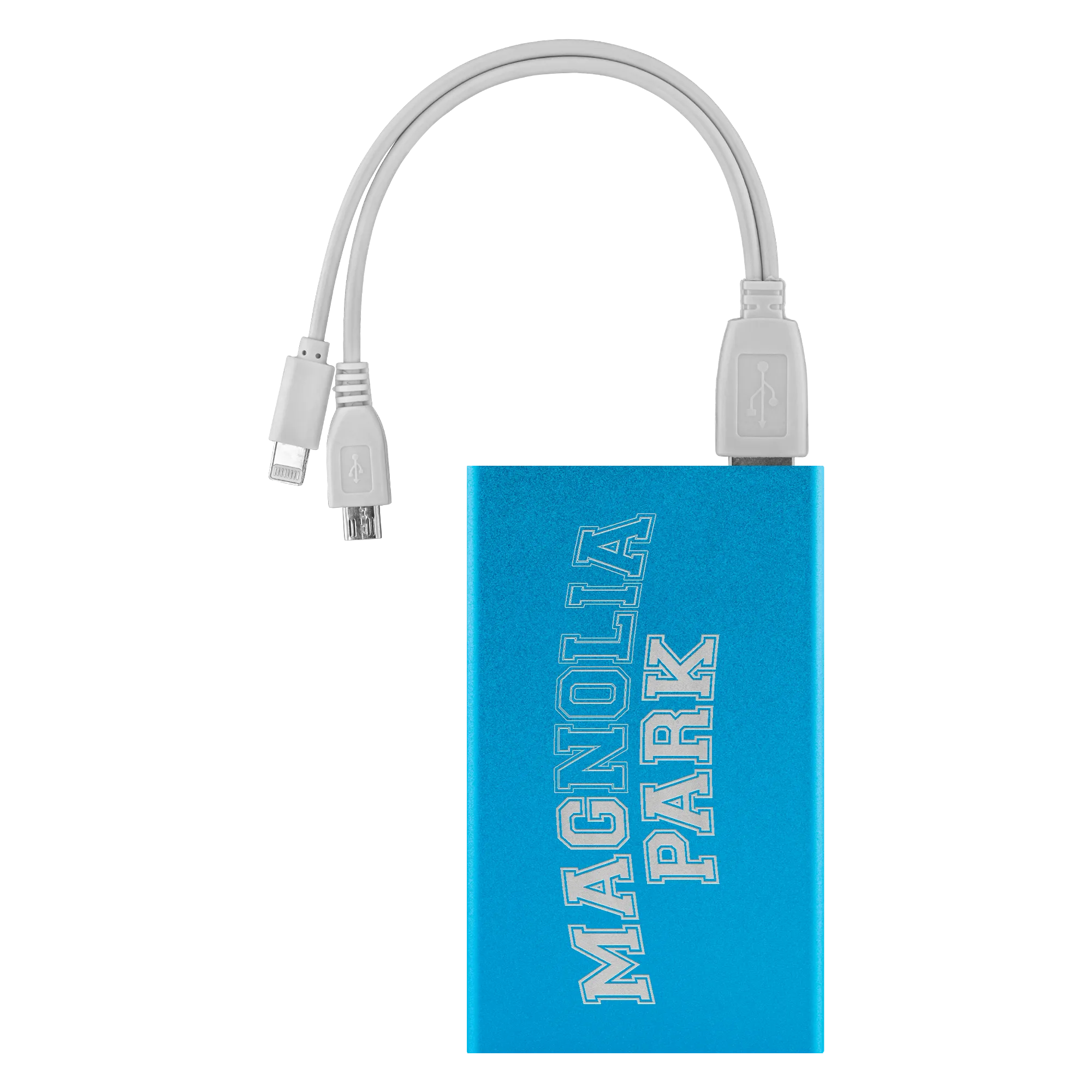 THE MAGNOLIA PARK - VARSITY POWER BANK