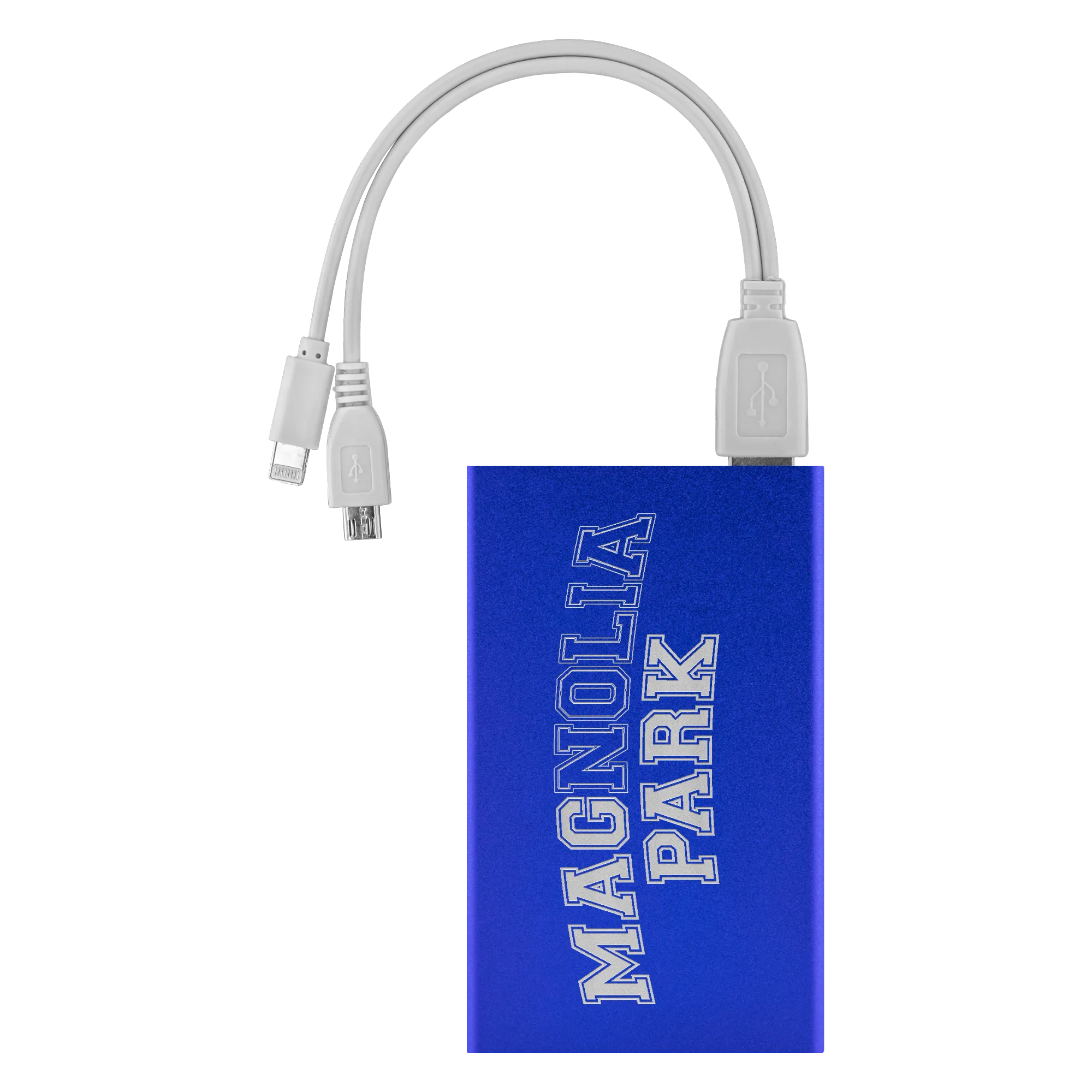 THE MAGNOLIA PARK - VARSITY POWER BANK