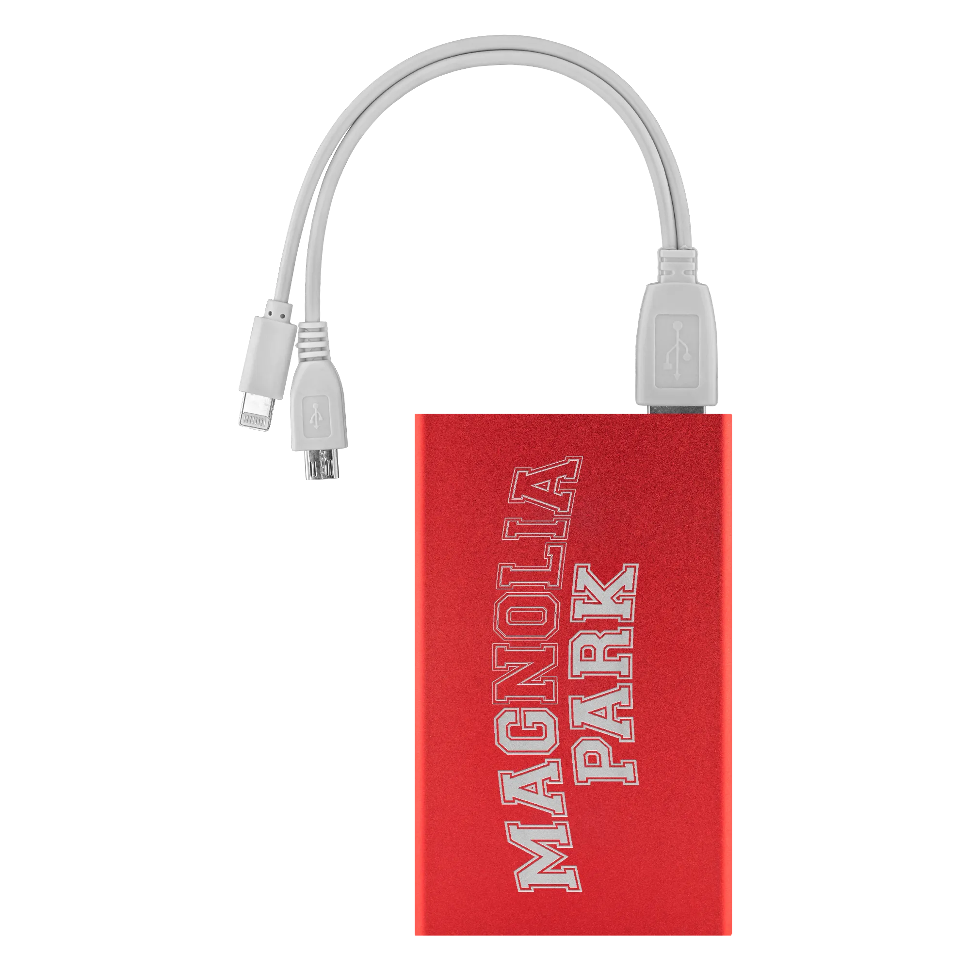THE MAGNOLIA PARK - VARSITY POWER BANK